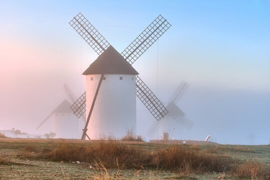 View of white windmills with dark caps emerge from the morning mist, standing proudly on the golden, grassy fields, Campo de Criptana, Castile-La Mancha, Spain.