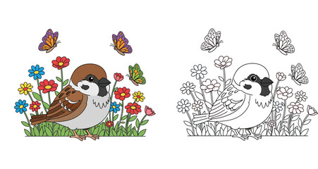 Fototapeta premium Cute cartoon sparrow bird in flower garden with butterflies, colored and outline black and white version. Vector illustration coloring book page for children.