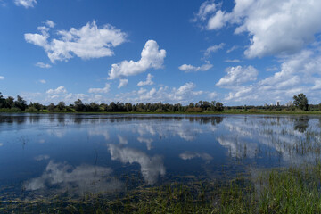 Fototapeta premium The Serene Winter Pond of Hadera Forest Under a Clear Blue Sky
