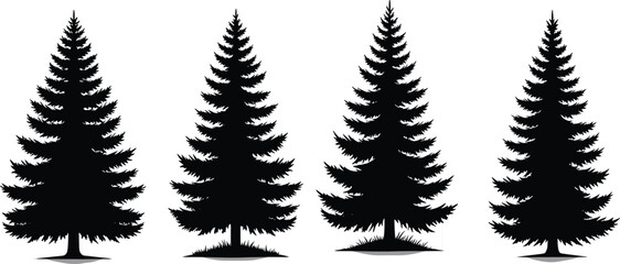 Set of black pine tree silhouettes with coniferous branches and forest spruce shadows isolated on white background for Christmas holiday nature design projects © Ketab