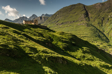 Green Alpine Meadows and Peaks in Austria