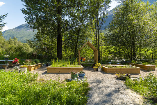 View of vibrant green garden beds flourishing beneath the warm sunlight of a summer day, framed by lush trees and distant mountains, Stardalen, Norway.