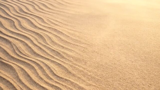 Fine intricate sand patterns with wave-formed lines, warm sunlight, minimal aesthetic, high resolution, copy space, abstract beach background