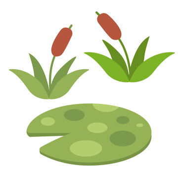 Green lily pads and reed plants. Flat vector water plants for kids nursery decor