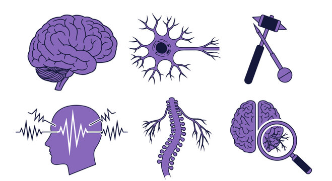 Six purple icons related to the nervous system and neurological examination