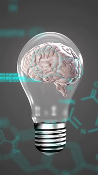 Vertical video: Clear bulb with brain rotating after teal code scrolling, tagging regions for tech