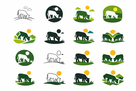 young calf grazing. Icon set. Set Logo of young calf grazing: pastoral emblem. harmonious logo variations of the same emblematic concept, each with different