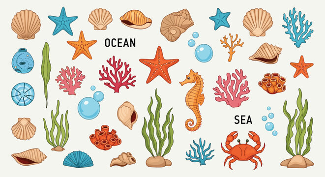 Large collection of sea creatures and ocean elements including shells, coral, seahorse, crab, and seaweed for nature design.