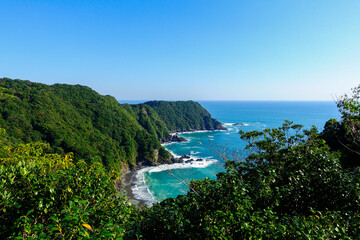 Turquoise Pacific Ocean cove and forested cliffs along the Shikoku Henro pilgrimage route in Japan