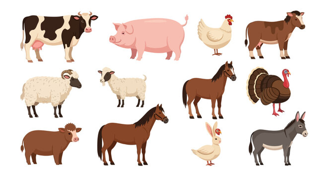 Farm animals illustration cow pig chicken horse sheep goat and others