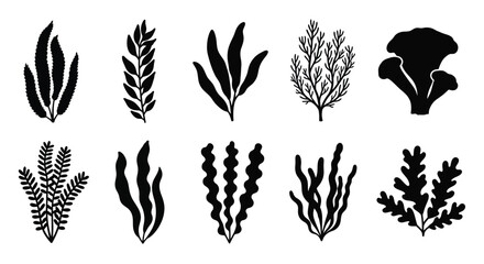 Collection of botanical plant shapes in a striking black silhouette © MDSAJIB