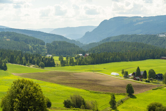 View of verdant green fields meet dark coniferous forests and distant blue mountains under a bright sky, Hovi, Innlandet, Norway.