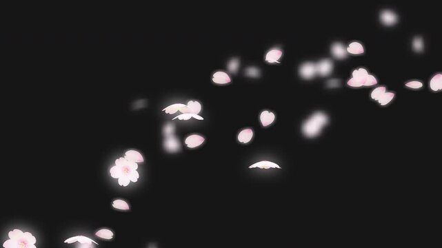 中央に桜の花と花びらが散るアニメーション_透過背景