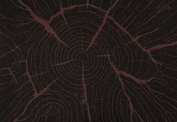Close-up of aged tree rings and radial cracks on dark wood cross-section © DesignSells