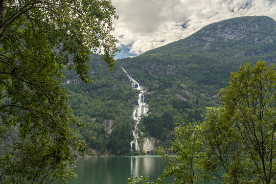 View of cascading waterfall plunging down a verdant mountainside, framed by lush green trees, reflecting in the serene lake below, Sorfjorden, Odda, Vestland, Norway.