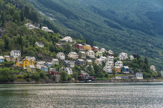 View of colorful houses cascade down a verdant hillside into the serene waters of a fjord, creating a picturesque contrast against the rugged landscape, Odda, Vestland, Norway.