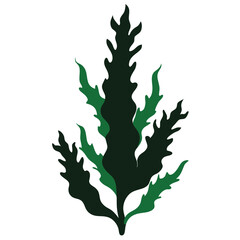 hijiki seaweed silhouette on white © Mariam