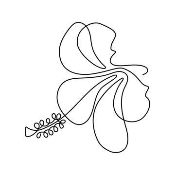 Flower in continuous line art drawing style. Hibiscus blossom black linear sketch isolated on white background. Vector illustration
