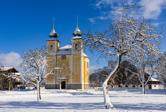 Laurentius church and snow-covered orchard in Sankt Lorenz, Upper Austria
