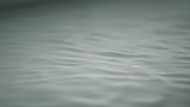 Soft, blurred ripples of calm, pale grey water flow gently across the frame