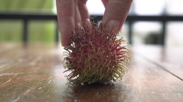 Fresh red rambutan fruit, close-up