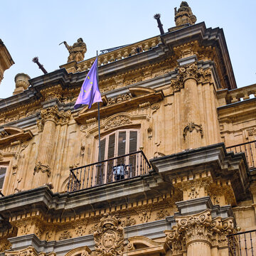 View of an ornate, sun-drenched building facade displaying an EU flag, rich in carvings and textures against a muted sky, Salamanca, Castile and Leon, Spain.