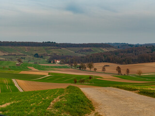 Naklejka premium Hügelige Agrarlandschaft im Frühjahr