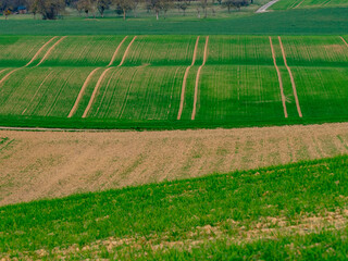 H&uuml;gelige Agrarlandschaft im Fr&uuml;hjahr