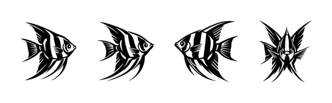 Four angelfish silhouette illustrations in black and white on white background