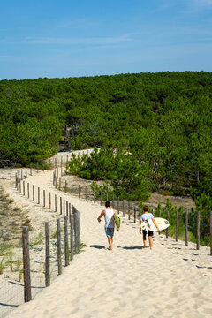 P&eacute;ninsule du Cap-Ferret, Bassin d'Arcachon, France, Gironde, Nouvelle-Aquitaine, jeunes surfeurs sur un chemin d'acc&egrave;s lunaire