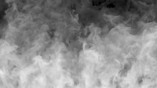 4k white smoke rising on black background, slow motion fog and vapor transition for cinematic overlay
Amazing, White Smoke with Black Background 4K Ultra HD Video