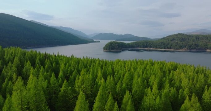 Hungry Horse Reservoir surrounded by dense evergreen forest in Flathead National Forest outside Glacier National Park, aerial drone dolly over treetop canopy