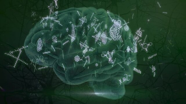 Human brain anatomy science concept medical with Science, Math, Chemistry Equations animation.
