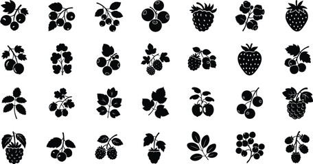 Black silhouettes of various berries and leaves on white background © MdTofazzal