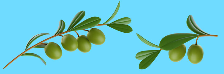 Two green olive branches with ripe fruits in 3D vector style isolated on bright blue background. Detailed botanical illustration for organic cosmetics, agriculture, or Mediterranean travel themes. © cgterminal