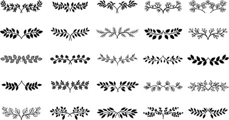 Obraz premium Collection of elegant leafy branches for design and decoration