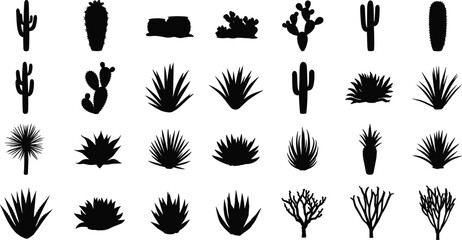 Collection of various cactus and succulent silhouettes on white background © MdTofazzal