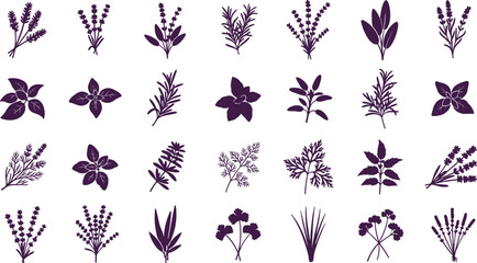 Collection of various herbs and plants in purple silhouette on white background © MdTofazzal