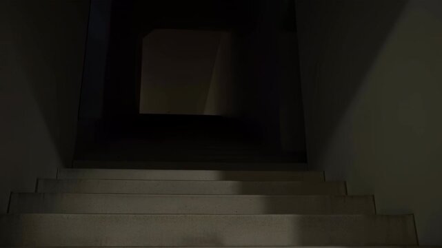 Dimly Illuminated Concrete Staircase Descending Into Darkness Suitable For Tense Investigation Scenes
