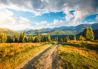 Naklejka premium Fantastic summer day in wild mountains with coniferous forest and lush greenery. Carpathians, Ukraine, Europe.