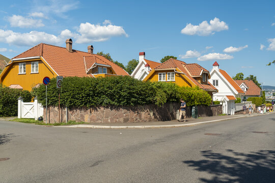 View of vibrant yellow and white houses with striking orange roofs peek over lush green hedges under a bright blue sky, in Bygdoy, Oslo, Norway.