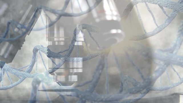 DNA Testing animation with microscope stage during scientific Medical, microscope check and scientist doing research for DNA and laboratory work for science.