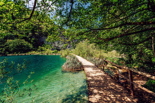 View of a wooden pathway leading into the vibrant turquoise water of Plitvice Lakes National Park, surrounded by lush green foliage, Plitvicka Jezera, Lika-Senj County, Croatia.