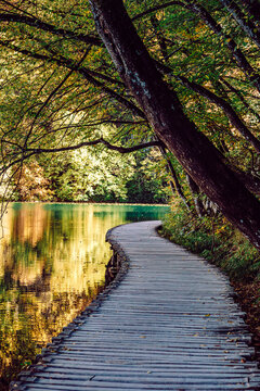 View of a wooden pathway curving alongside a tranquil lake reflecting autumnal foliage under a canopy of trees, Plitvicka Jezera, Lika-Senj County, Croatia.