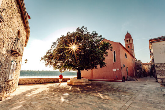 View of warm sunlight filtering through a tree near a church, highlighting the stone buildings and the Adriatic Sea in the background, Rab, Primorje-Gorski Kotar County, Croatia.