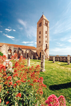 View of ancient stone tower rising majestically over vibrant red flowers and lush green grass under a crisp blue sky, Rab, Primorje-Gorski Kotar County, Croatia.