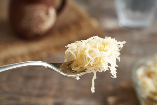 Fermented cabbage or sauerkraut on a fork