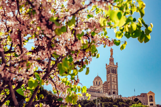 View of the Notre-Dame de la Garde basilica majestically perched atop a hill, framed by the delicate blossoms of spring in vibrant Marseille, Provence-Alpes-Cote d'Azur, France.