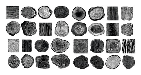 Plakat Wooden slices rings black ink sketch vector set. Organic tree trunk cross sections rustic timber wood texture forest nature material element isolated on white background