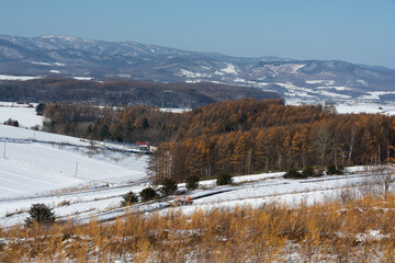 雪に覆われた晩秋の丘
